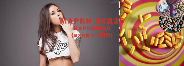 спиды Аркадак