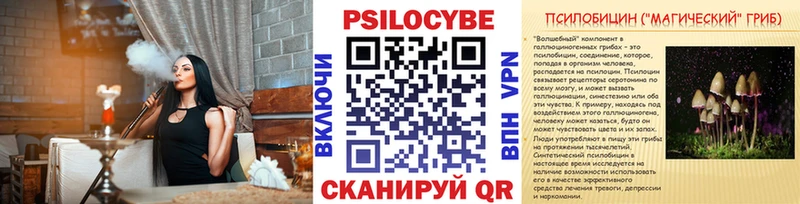 хочу   Ясногорск  Галлюциногенные грибы Magic Shrooms 