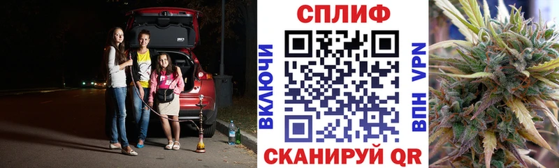 Конопля SATIVA & INDICA  Ясногорск 